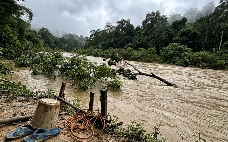A rain-swollen jungle river in monsoon season under heavy overcast light